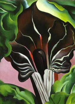 Georgia O Keeffe : Jack in the Pulpit